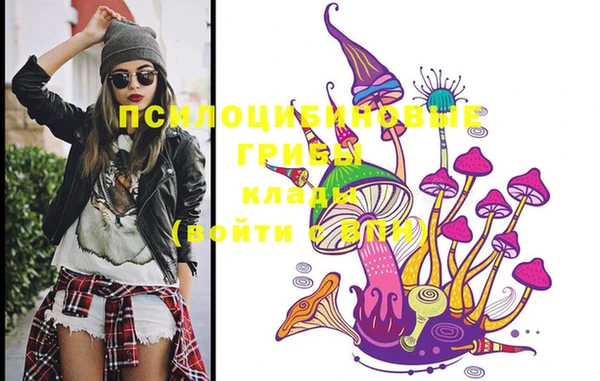 MDMA Premium VHQ Нязепетровск