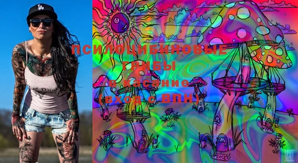 стафф Нягань