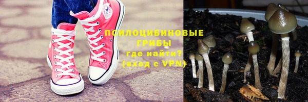 синтетический гашиш Няндома