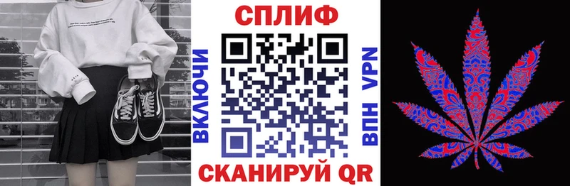 Купить где  Курск  Конопля план 